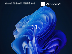 Windows11 26H1 ����רҵ��ϵͳ